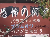 プラムの国