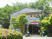 修善寺しいたけの里