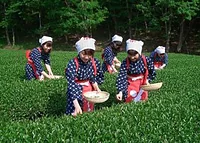 蔵屋鳴沢