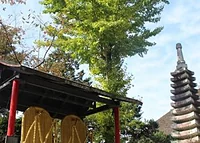 子ノ権現天龍寺