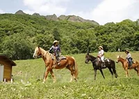 WILD MUSTANG'S