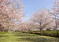 北五井緑道