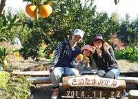 丸川農園