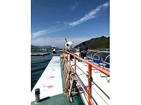 宮島遊覧観光