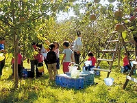 砥山ふれあい果樹園