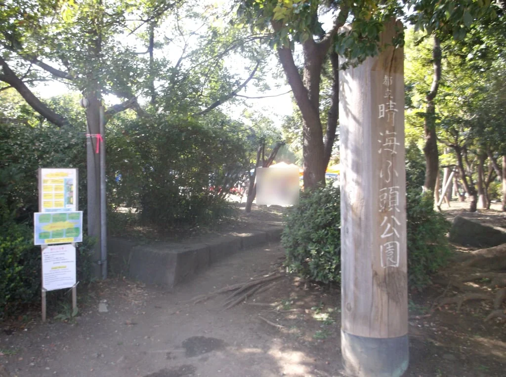 晴海ふ頭公園の写真4
