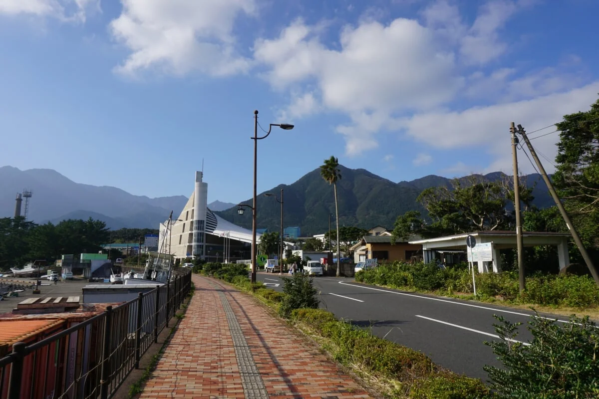 屋久島環境文化村センターの写真2