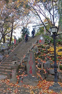 駒込富士神社