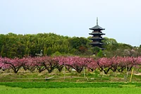 備中国分寺