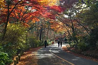 再度公園