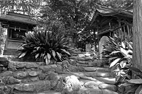 氷川神社
