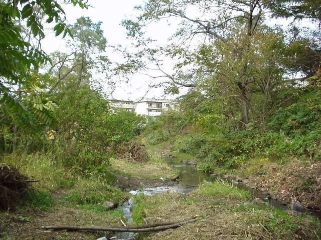 豊中公園の写真1