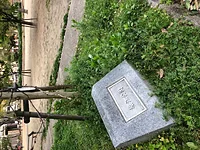 堀江公園