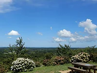 野見金公園