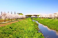 大堀川リバーサイドパーク