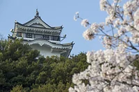 妙見山公園(撫養城跡・岡崎城跡)
