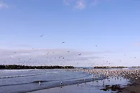 平沢海水浴場