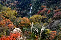 轟の滝