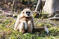 ときわ動物園