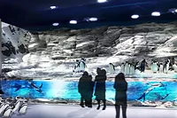 DMMかりゆし水族館