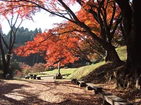御殿山公園