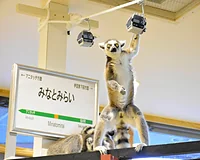 アニタッチみなとみらい