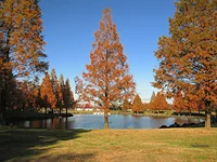 加須はなさき公園