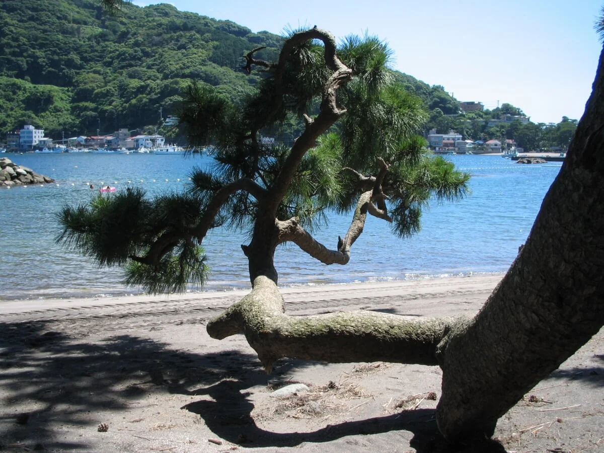 御浜海水浴場の写真3