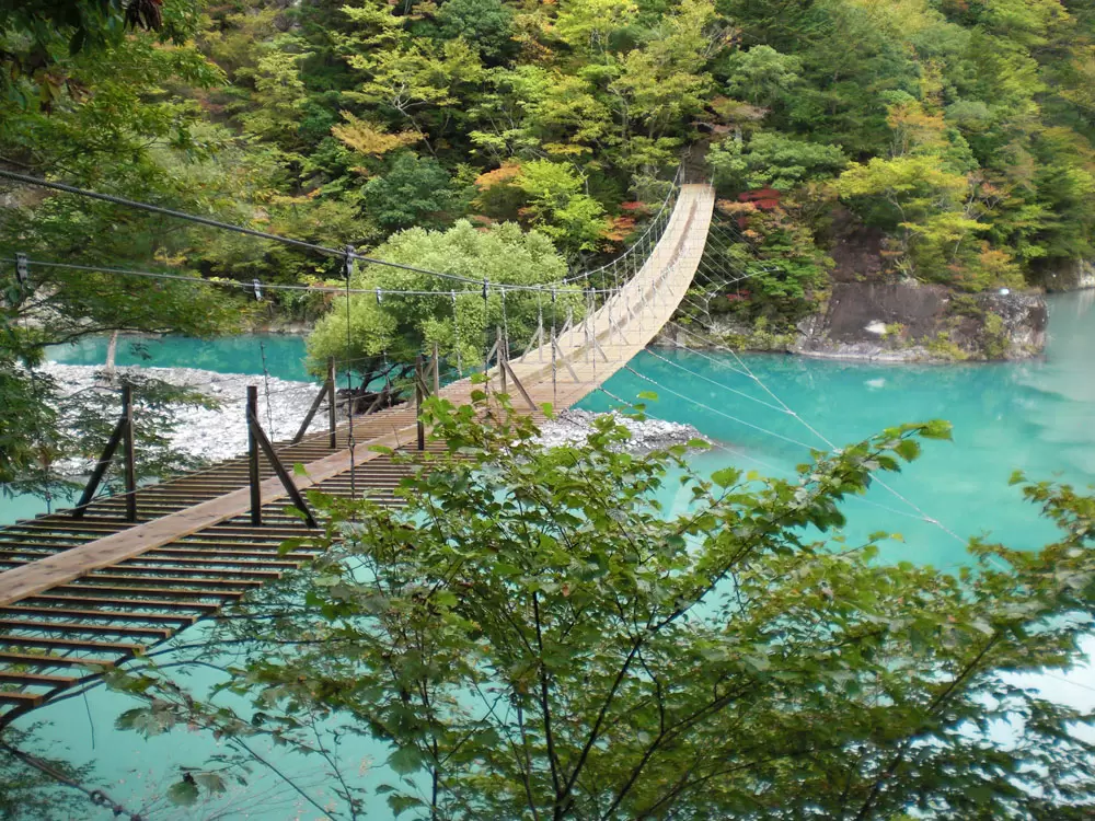 夢の吊り橋の写真1