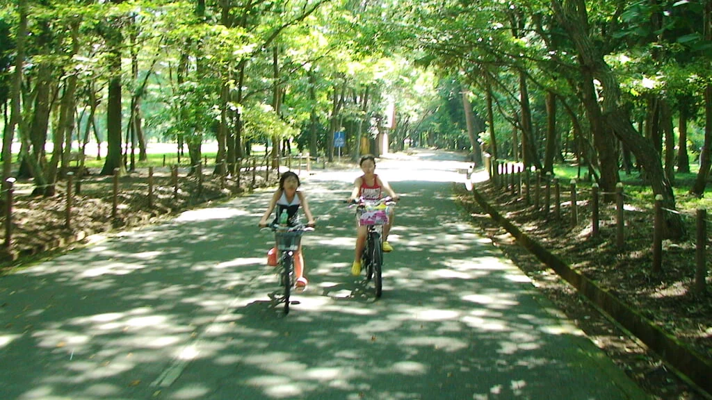 井頭公園の写真1