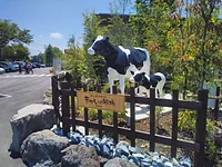 まかいの牧場