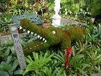 熱川バナナワニ園