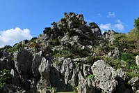大石林山