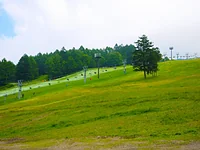 丸沼高原