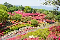 小室山公園