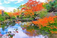 天守閣自然公園 小屋館跡庭園
