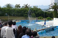 太地町立くじらの博物館