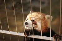 周南市 徳山動物園
