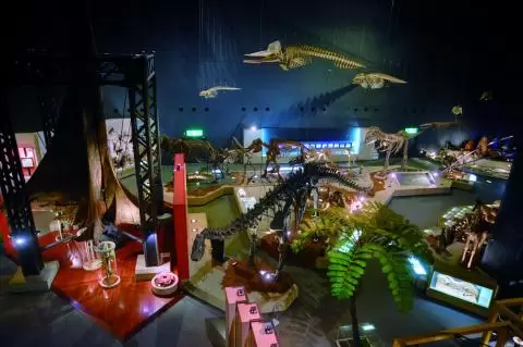 神奈川県立 生命の星・地球博物館
