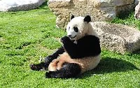 アドベンチャーワールド
