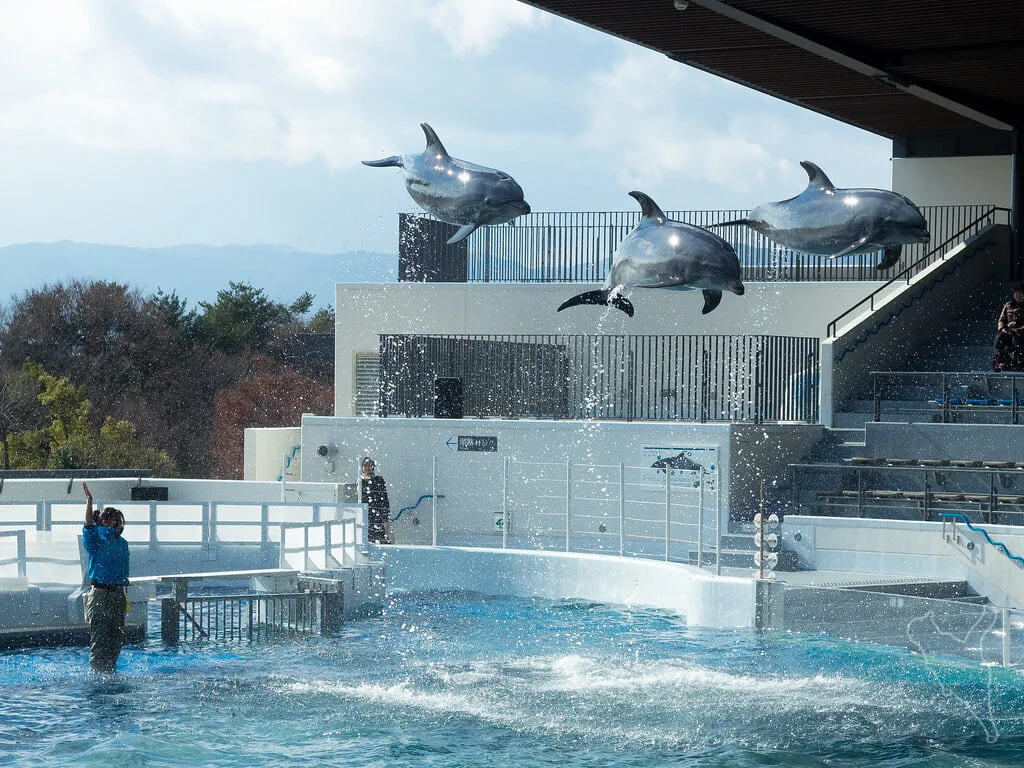 京都水族館