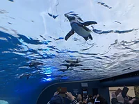 サンシャイン水族館