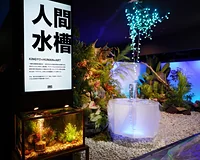 奈良金魚ミュージアム