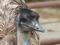 しろとり動物園