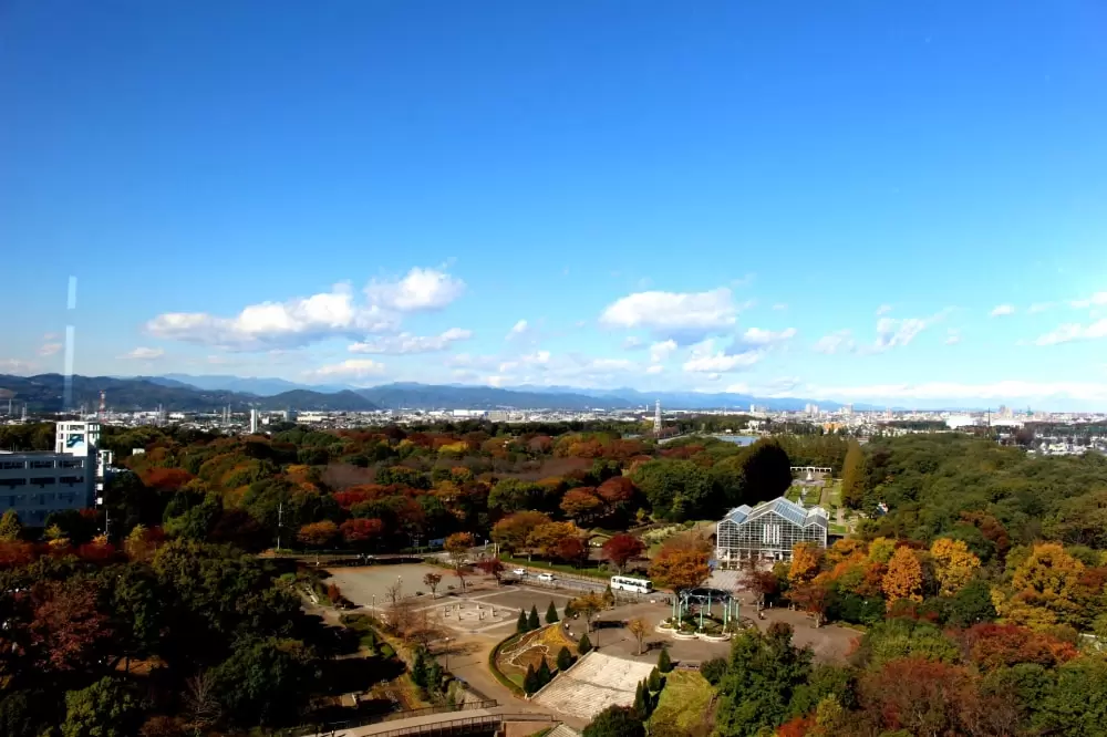 相模原麻溝公園