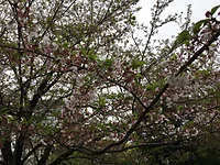浜町公園