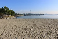 海の公園　潮干狩り場