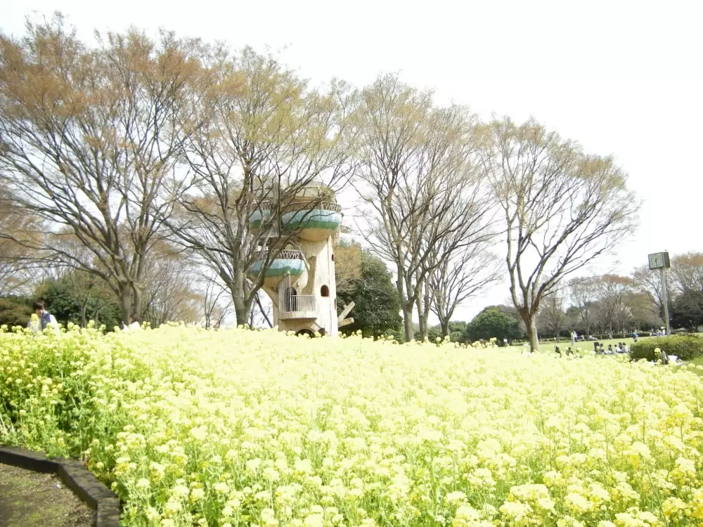 県立相模原公園