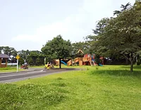 山梨県立森林公園 金川の森