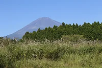 忠ちゃん牧場